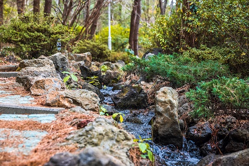 One advantage of THE WE is "WE with you healing forest”, which uses the forest to experience nature's anions, oxygen, scenery, sound, and sunlight.
